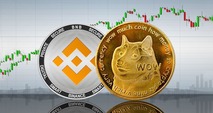 Binance Coin Vs Dogecoin: Which Is Better For You?